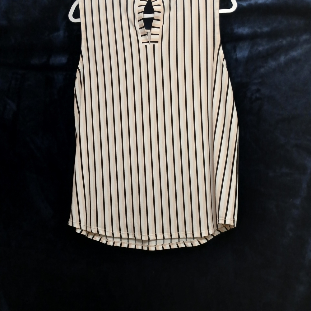 Adrianna Papell Black and Cream Striped Blouse
